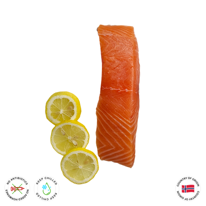 Salmon Portion